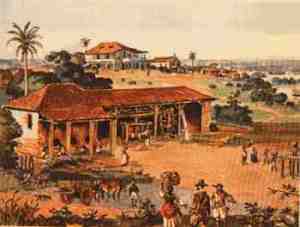 HISTÓRIA DO BRASIL COLÔNIA