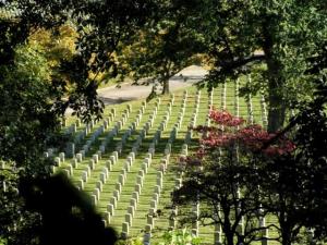 MINOLTA DIGITAL CAMERA