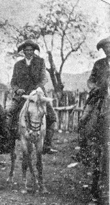 Vaqueiros da Faz. Modelo