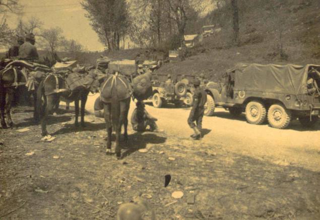 10265370_10204879539931154_8899539066435233591_o