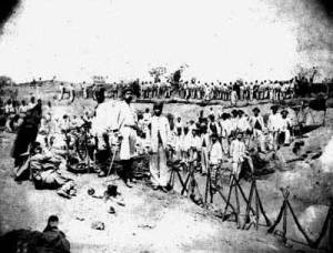 c2e15c11685145b4b0ea6cd4476fafd7472