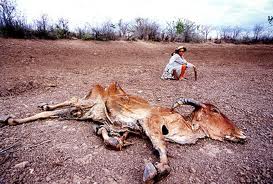 Image actuelle de la région intérieure de l'Etat de Bahia. Un paysage presque égale à l'époque de la Guerre de Canudos - Source - http://jonildogloria.blogspot.com.br