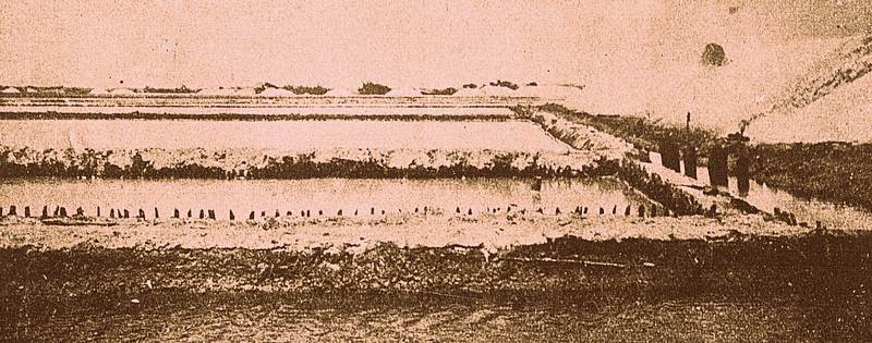 Local de extração de sal