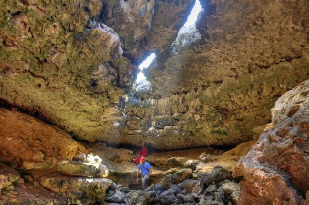 312410_405697459520999_974467773_n