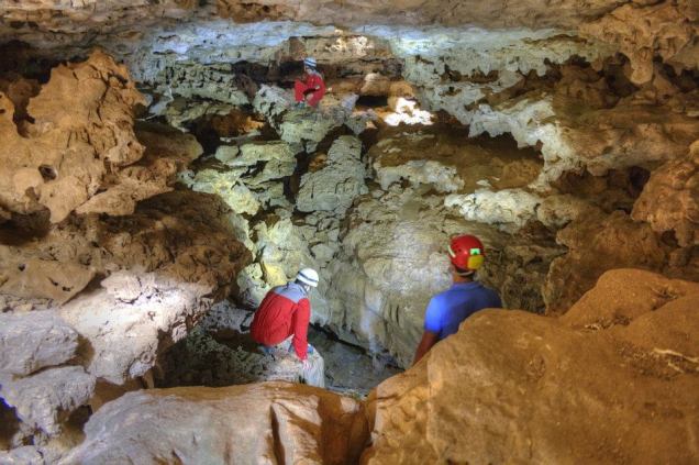 397974_405697516187660_1663115817_n