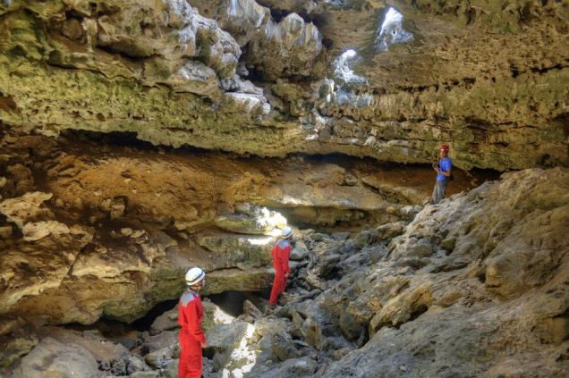 543799_405697489520996_1805232504_n