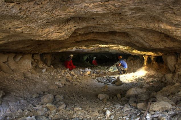 556564_405697196187692_362880407_n