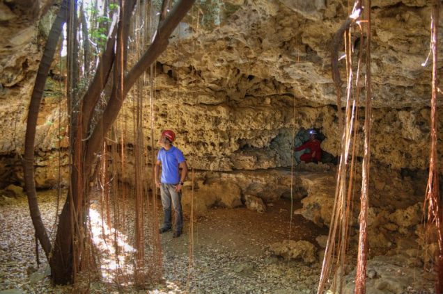 601321_405697319521013_2123964561_n