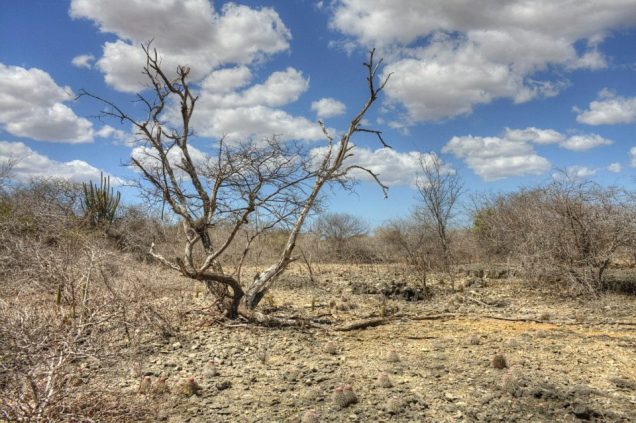 74688_405697386187673_2052116731_n