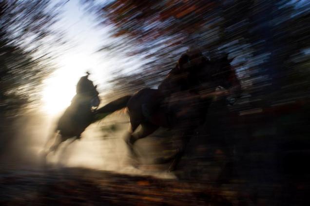 270836_473469269336554_472822663_n