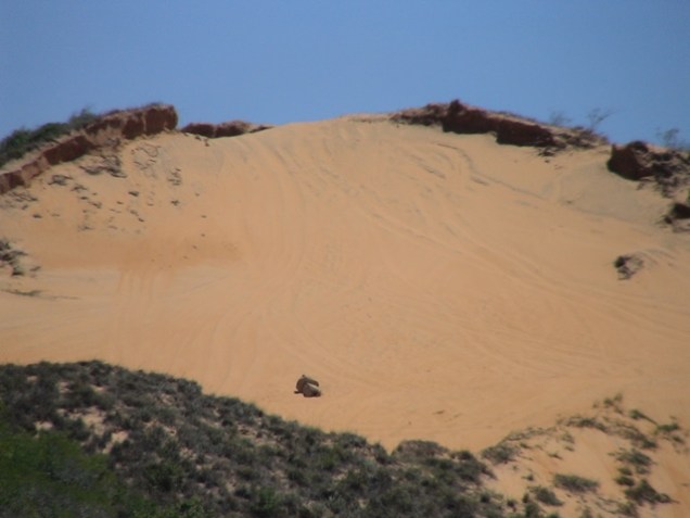Morro do Navio em abril de 2013, agora completamente desenterrado