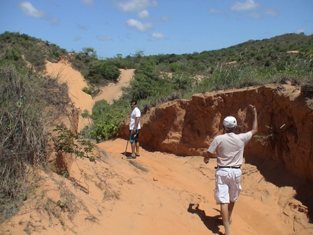 Neste ponto da trilha, a diferença no solo poderia indicar utilização de um trator para abrir este caminho em tempos passados?