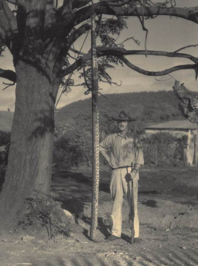 Vai que de repente o cliente poderia se cansar de matar onças, poderia variar matando uma "cobrinha" como a que aparece na foto - Fonte - http://penn.museum/documents/publications/expedition/PDFs/51-3/from%20the%20archives.pdf