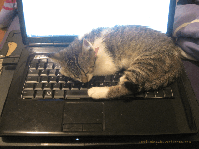 Fonte - https://sorrisodegato.files.wordpress.com/2012/05/lyra-notebook-dormindo.png