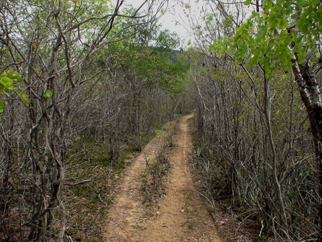 Pelas mesmas trilhas dos cangaceiros