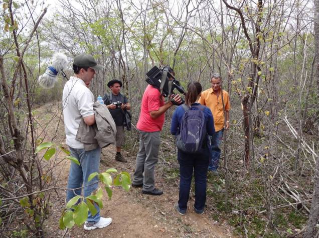 Outra parada para conhecer a flora da caatinga