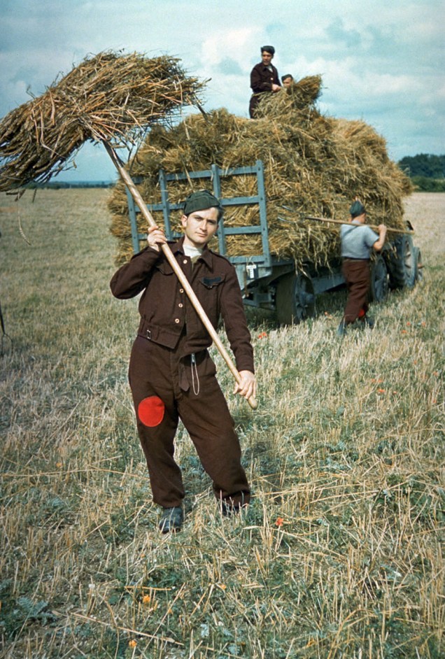 Prisioneiros alemães ajudando na colheita em solo britânico. Existiram 1.026 campos de prisioneiros na Grã-Bretanha durante a Segunda Guerra Mundial – Foto - Hulton Archive/Getty Images