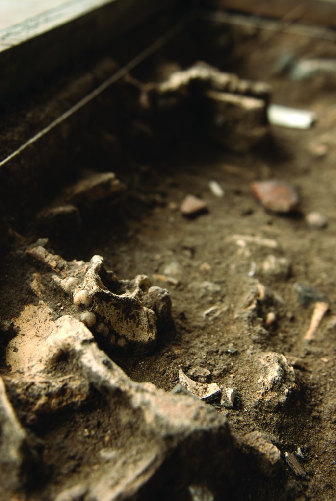 Ossada no Cemitério dos Pretos Novos: parte dos escravos já chegava ao Brasil com a bactéria da tuberculose - Foto - Léo Ramos