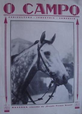 O campeão Mossoró - Fonte - http://ritaturfe.blogspot.com.br/2010_12_19_archive.html 