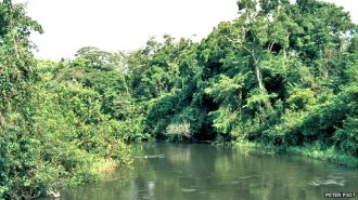 Rio Ebola, que batiza o vírus - Fonte BBC