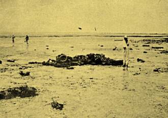 Pedaços de correntes antigas. Fotografia de 1934.