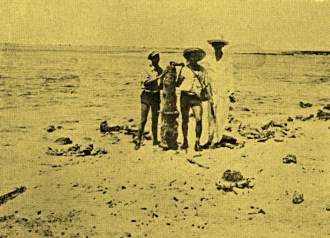 Restos de um pequeno canhão...