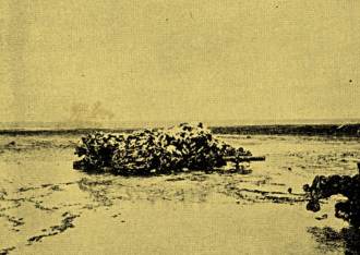 Outra grande corrente no atol.