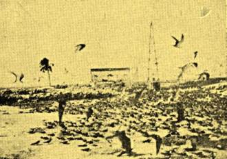 I0069170-12PX=000000PY=000000 (1) - Copy