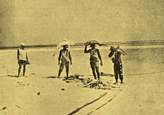 Pescaria no Atol das Rocas.