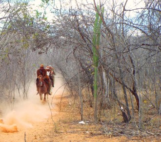 Corrida de vaqueiros no meio da caatinga da Fazenda Barreiros - CLIQUE NAS FOTOS PARA AMPLIAR