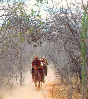 Serra Talhada - PE - Foto - Rostand Medeiros