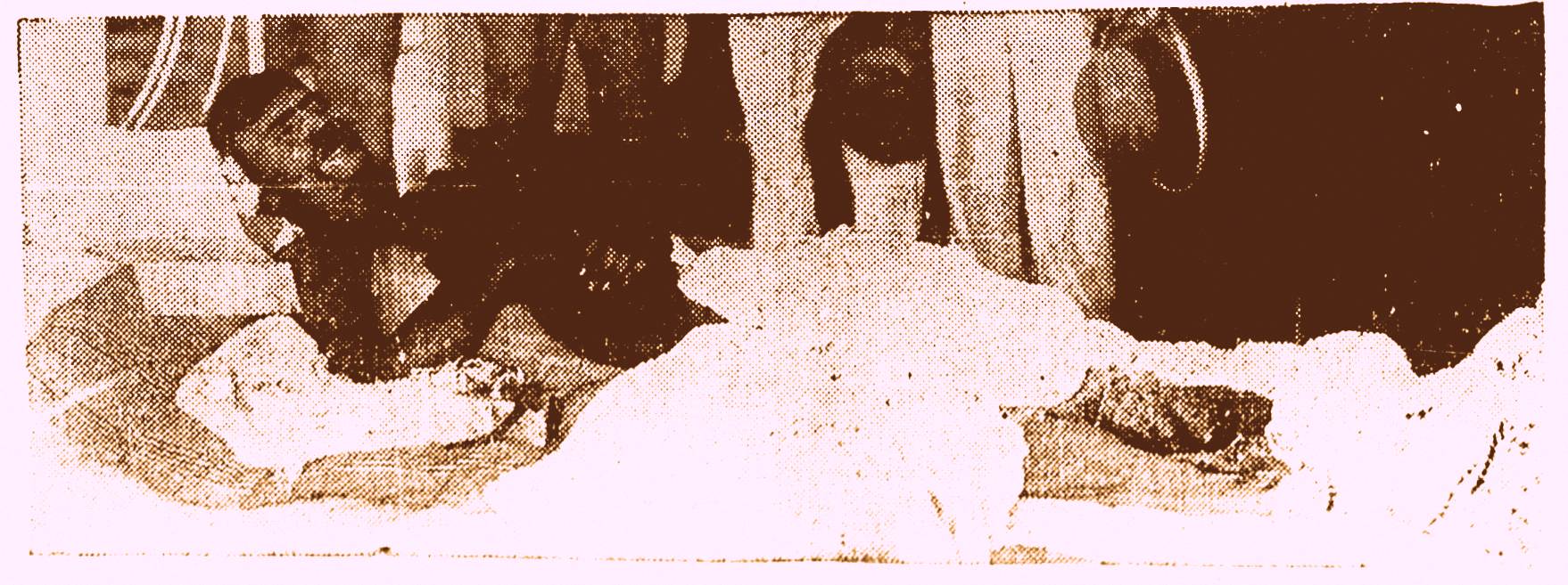 I0022091-3Alt=005103Lar=003955LargOri=005273AltOri=006804