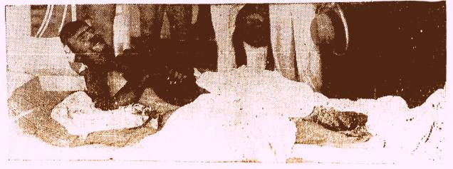 I0022091-3Alt=005103Lar=003955LargOri=005273AltOri=006804