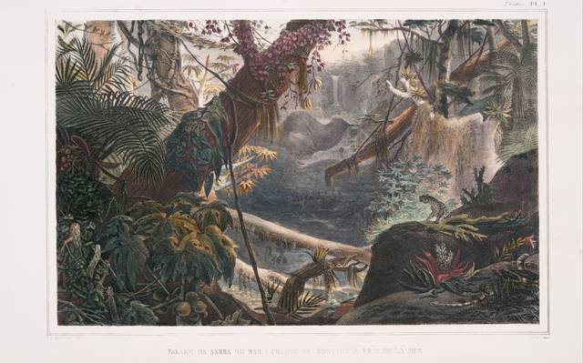 nypl.digitalcollections.510d47df-7779-a3d9-e040-e00a18064a99.001.g