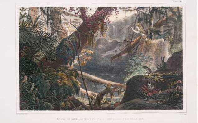 nypl.digitalcollections.510d47df-7779-a3d9-e040-e00a18064a99.001.g