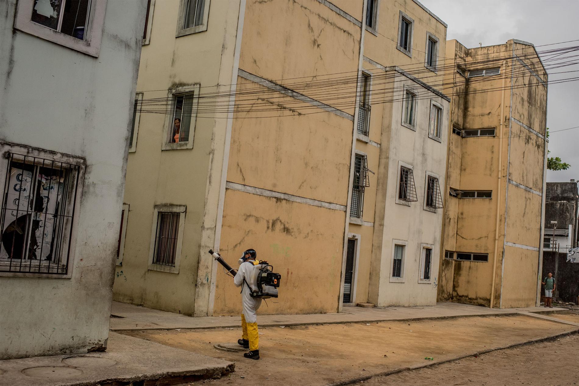 10zikadailylife.adapt.1900.1