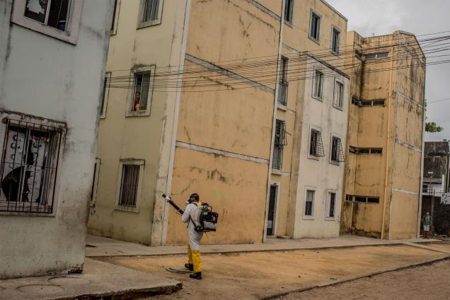 10zikadailylife.adapt.1900.1