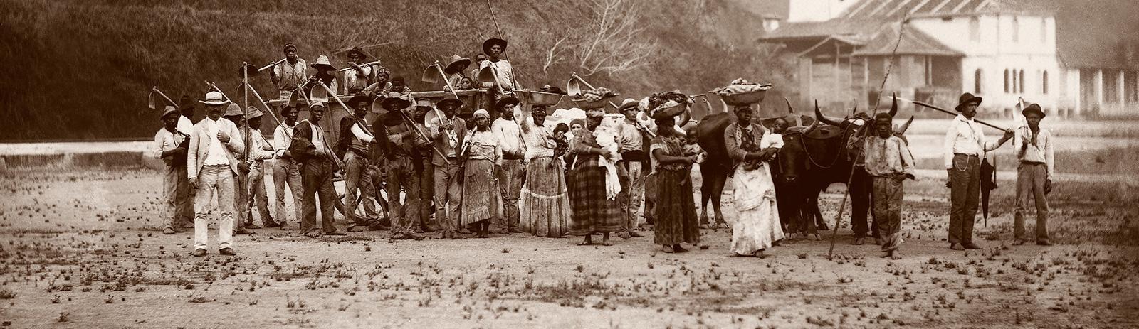 prog_imginterna_1401172855