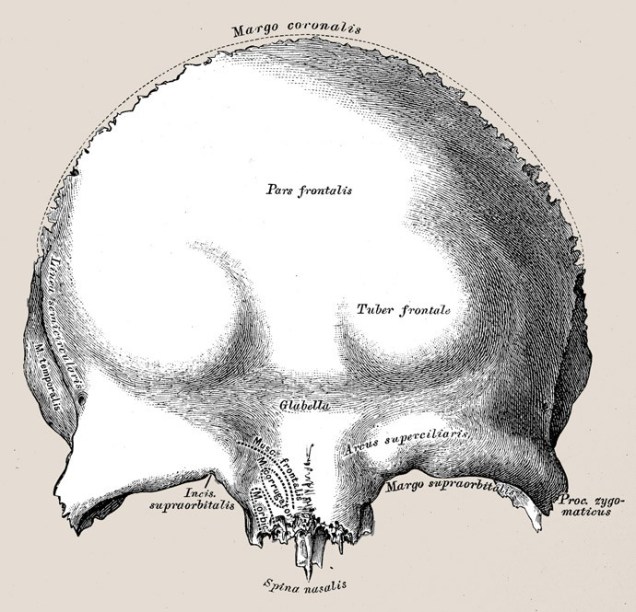 gettyimages-527667426