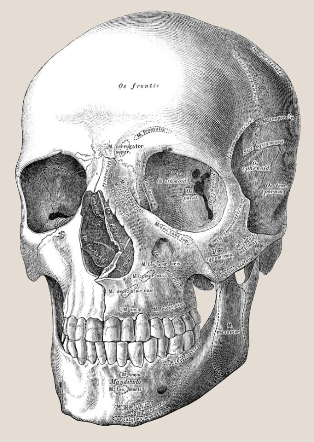 gettyimages-527669766