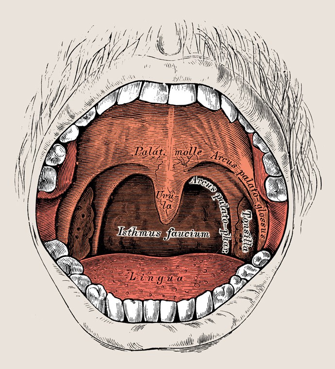 gettyimages-529980980