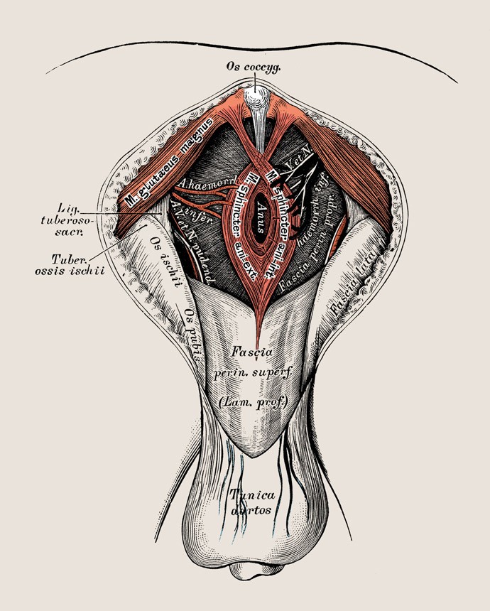 gettyimages-530755210