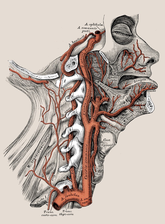 gettyimages-531012072