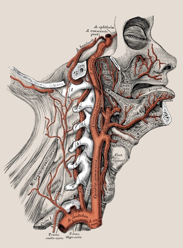 gettyimages-531012072