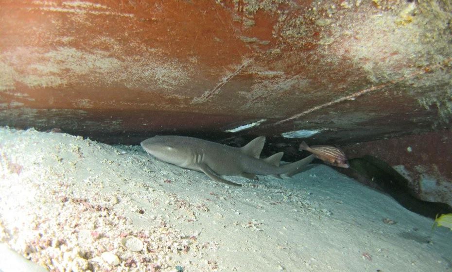 18989093080009305600000