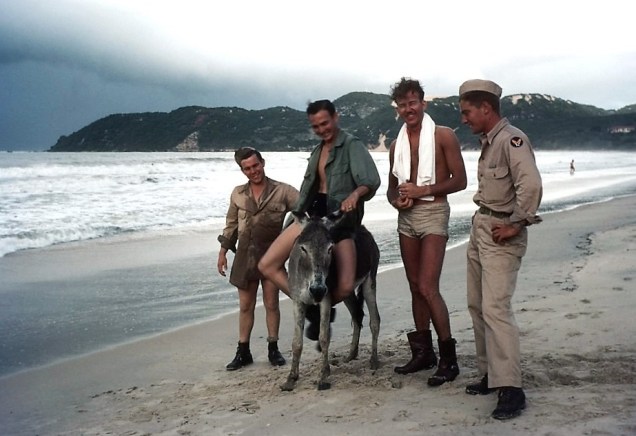 enhanced-buzz-wide-13907-1402957913-25