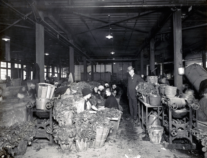 history-of-us-food-laws-1