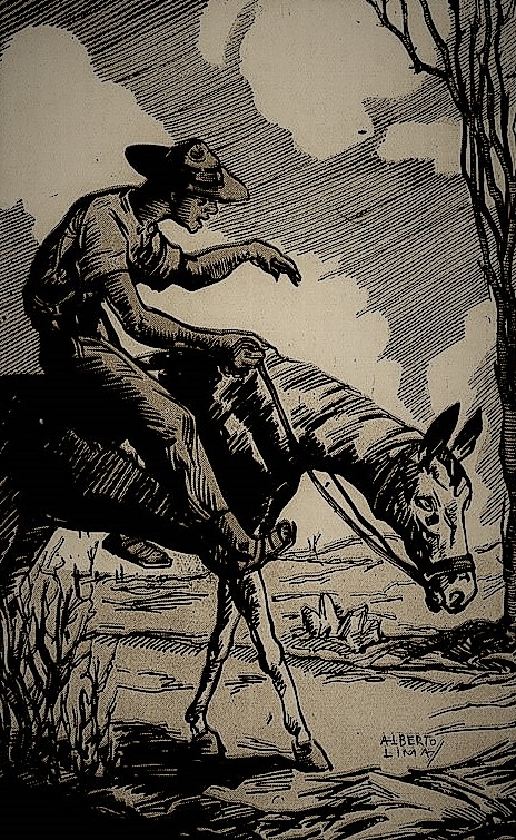 I0011449-26(01208x01745)