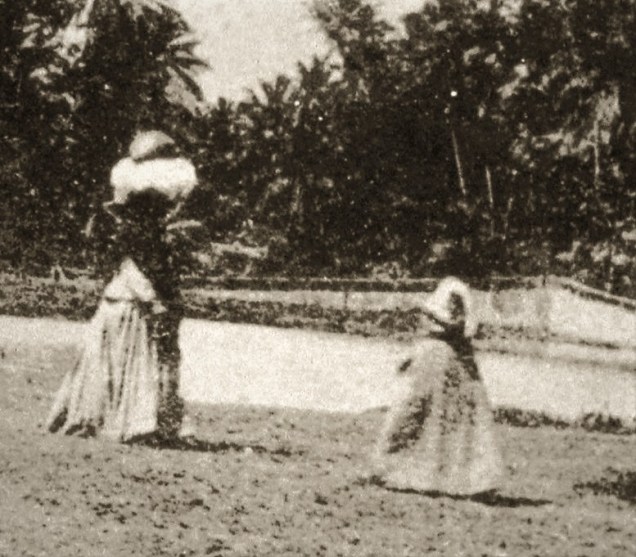 alfa-323 - Copia (2)