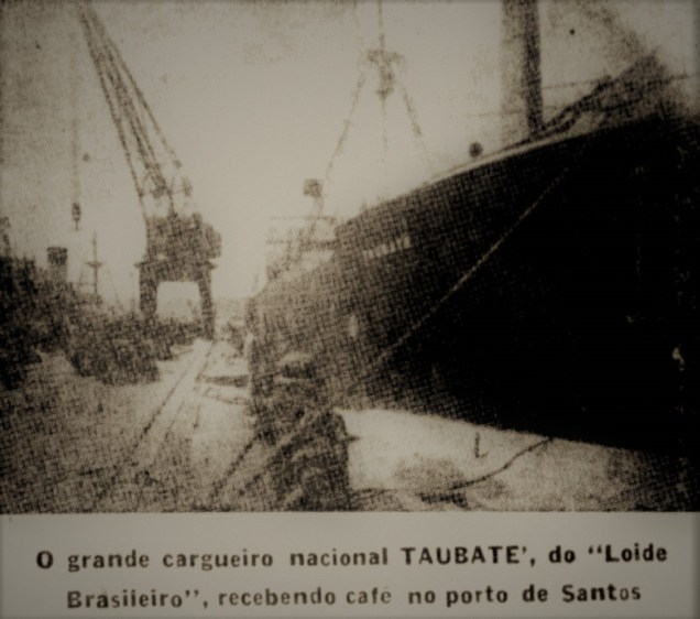 I0066131-3Alt=006082Lar=004389LargOri=004389AltOri=006082 - Copia